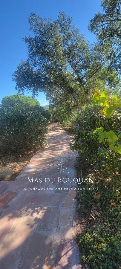 Le Mas Du Rouquan 维多邦 外观 照片