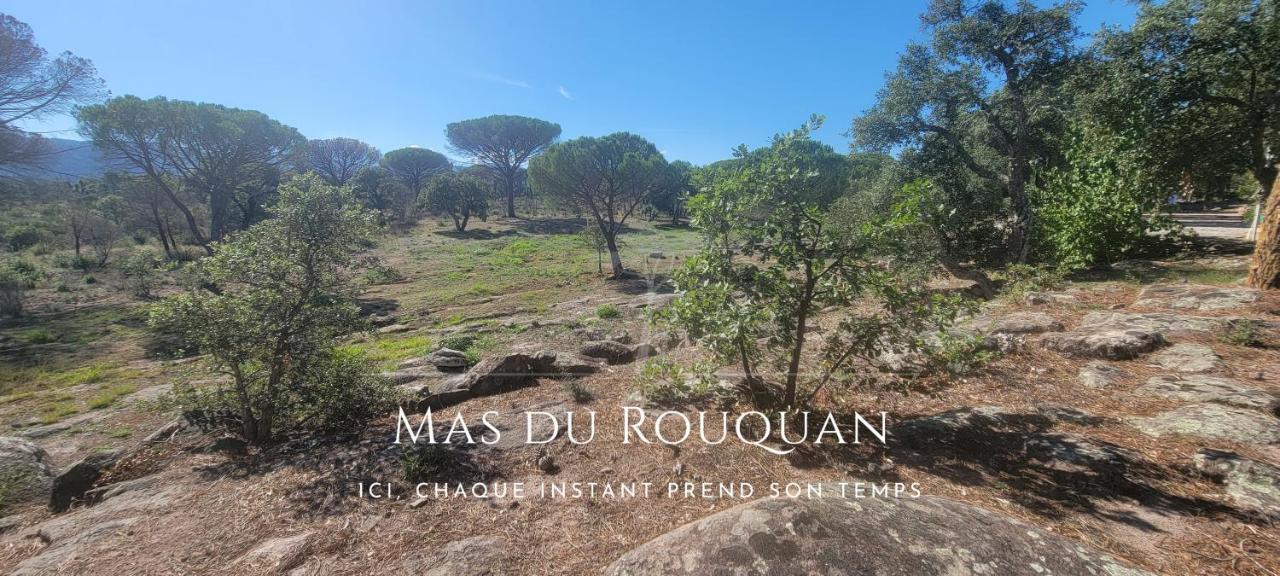 Le Mas Du Rouquan 维多邦 外观 照片
