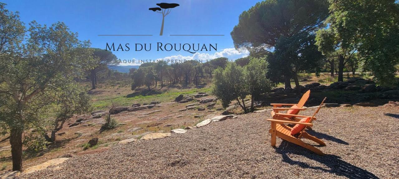Le Mas Du Rouquan 维多邦 外观 照片