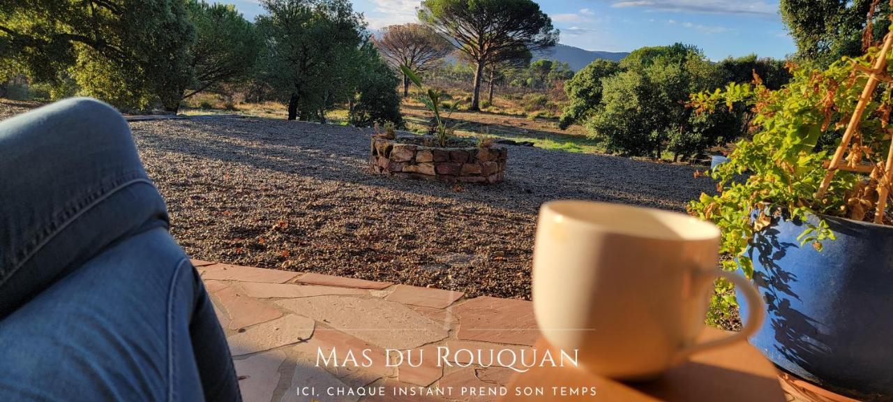 Le Mas Du Rouquan 维多邦 外观 照片
