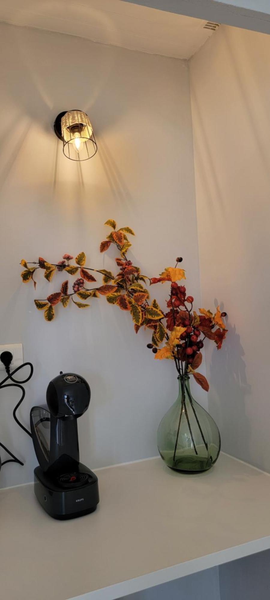 Le Mas Du Rouquan 维多邦 外观 照片